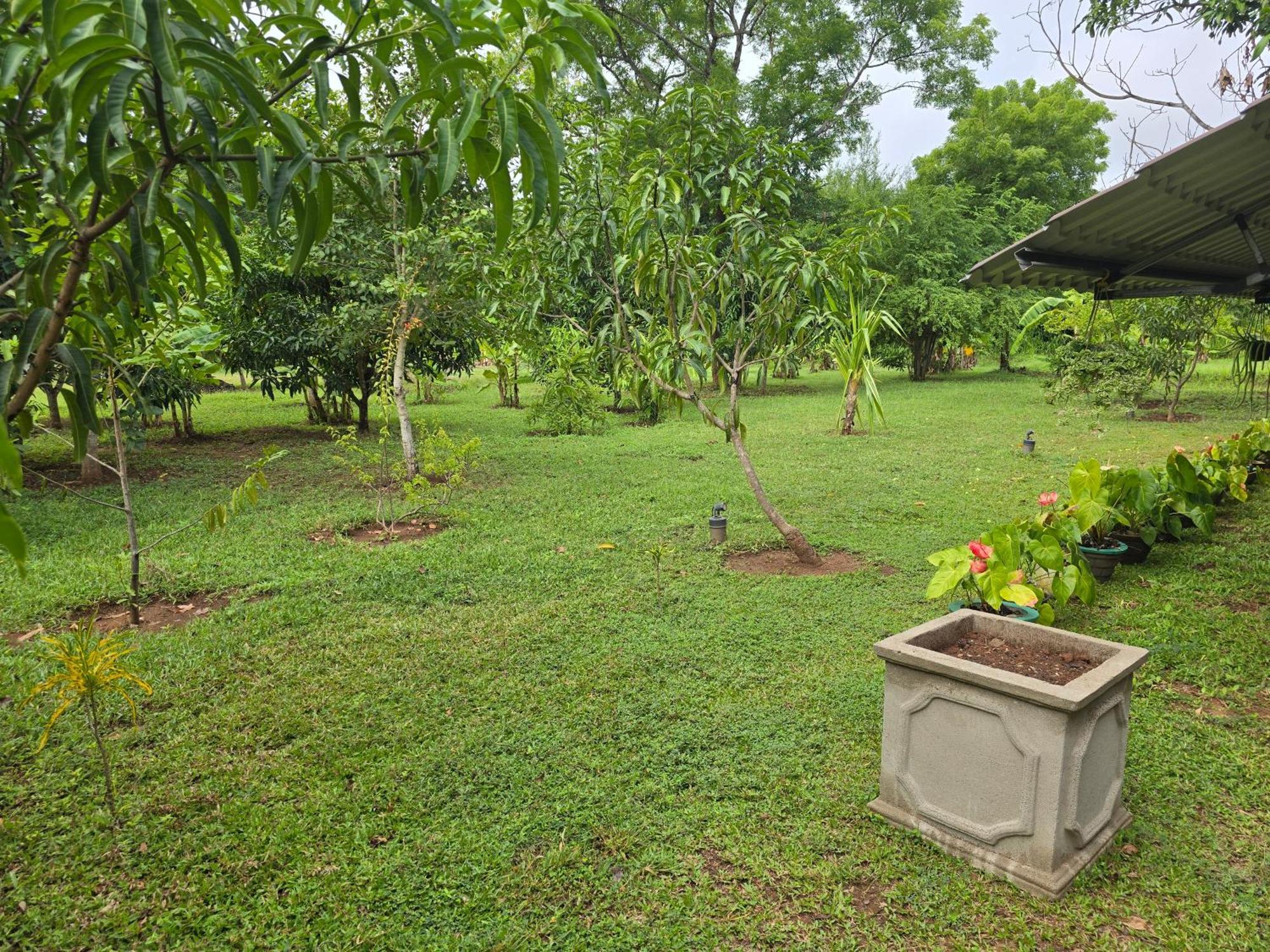 Ceylon Resort Wilpattu Exterior photo